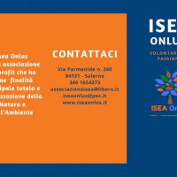 Brochure ISEA Onlus - edizione 2020
